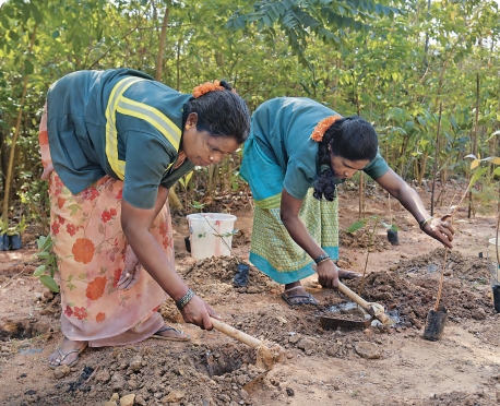 Water Conservation & Rainwater Harvesting