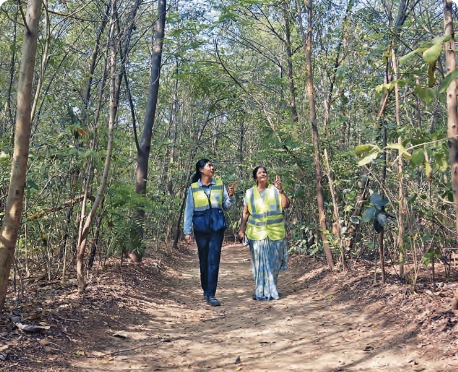 Miyawaki Urban Forest